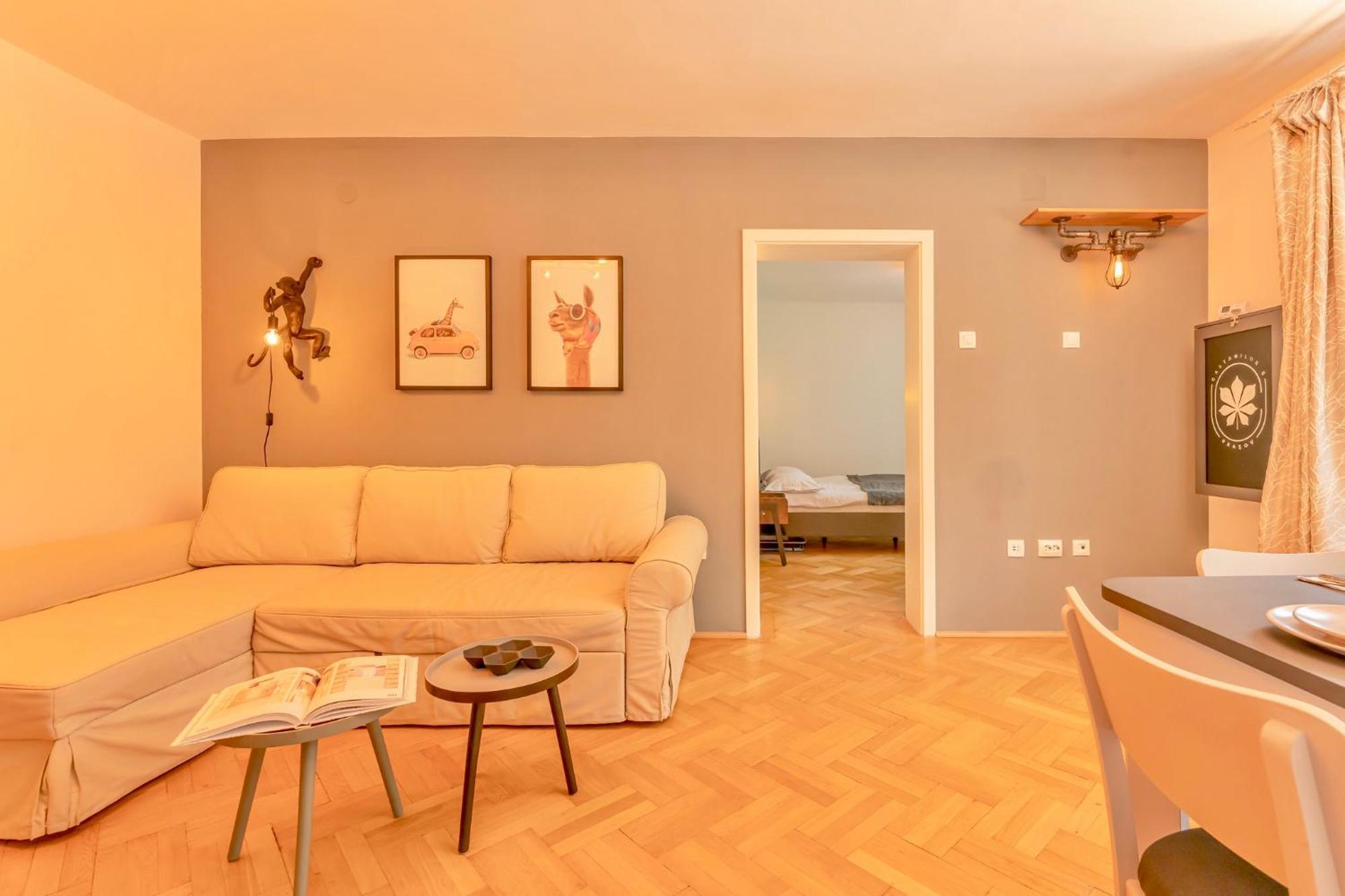 Castanilor 6 - Hip Industrial Apartment Close To City Centre Braşov Extérieur photo